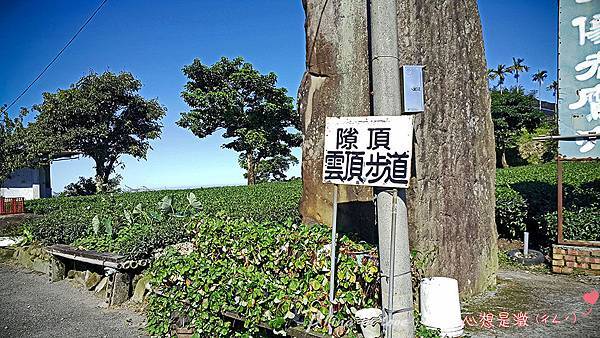 01阿里山公路台18線沿途風景012.jpg