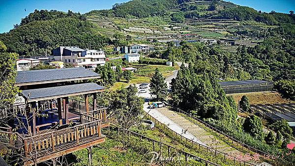 01阿里山公路台18線沿途風景011.jpg