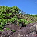 103半島秘境暢遊半島沙灘秘境戲水0024 拷貝.jpg