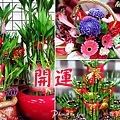 萬花鄉花坊018 拷貝.jpg