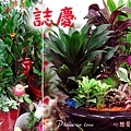 萬花鄉花坊020 拷貝.jpg