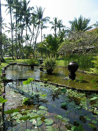 【住】峇里島★Melia Bali★推薦渡假村飯店