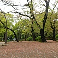 【遊】日本東京★上野公園(東照宮、花園稻荷神社、不忍池)+阿美橫丁(二木的菓子買伴手禮)★地鐵上野站。自由行