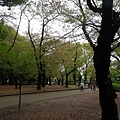 【遊】日本東京★上野公園(東照宮、花園稻荷神社、不忍池)+阿美橫丁(二木的菓子買伴手禮)★地鐵上野站。自由行