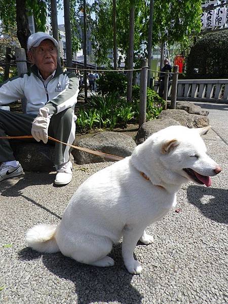 【遊】日本東京★雷門+仲見世通(小吃禮品一條街)+傳法院通+金龍山淺草寺(寶藏門、五重塔、晴空塔、淺草神社)+新仲見世通★地鐵淺草站。自由行