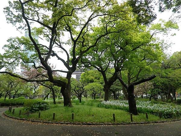 【遊】日本東京★都立芝公園(看東京鐵塔)+增上寺+芝大門★地鐵赤羽橋站。自由行