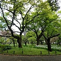 【遊】日本東京★都立芝公園(看東京鐵塔)+增上寺+芝大門★地鐵赤羽橋站。自由行