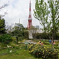 【遊】日本東京★都立芝公園(看東京鐵塔)+增上寺+芝大門★地鐵赤羽橋站。自由行