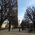 巴黎聖母院(Notre-Dame de Paris)後方公園