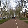 前往凡爾賽宮(Château de Versailles)的路上，要不是冬天時節，這條路應該是林蔭大道