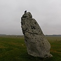 在距離巨石陣(Stonehenge)入口處外側約30公尺的地方，有一塊被稱為席爾的石頭單獨立在地上，如果從環狀溝向這塊石頭望去，剛好是夏至當天太陽升起的位置，因此部分的學者認為古代民族用巨石陣來記錄太陽的運行