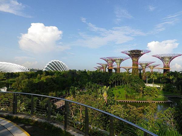 【遊】新加坡★螺旋橋The Helix Bridge。金沙購物廣場The Shopper at Marina Bay Sands★搭地鐵旅行。自助行程。自由行