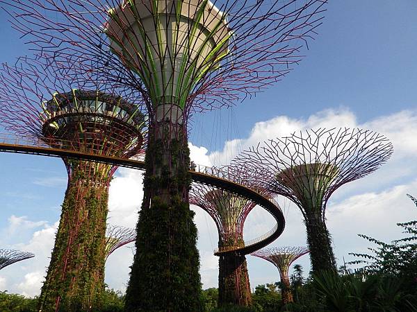 【遊】新加坡★濱海灣Marina Bay。濱海灣花園Gardens by the Bay。擎天大樹Supertree Grove★搭地鐵旅行。自助行程。自由行