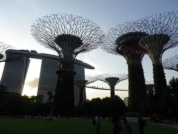 【遊】新加坡★濱海灣Marina Bay。濱海灣花園Gardens by the Bay。擎天大樹Supertree Grove★搭地鐵旅行。自助行程。自由行