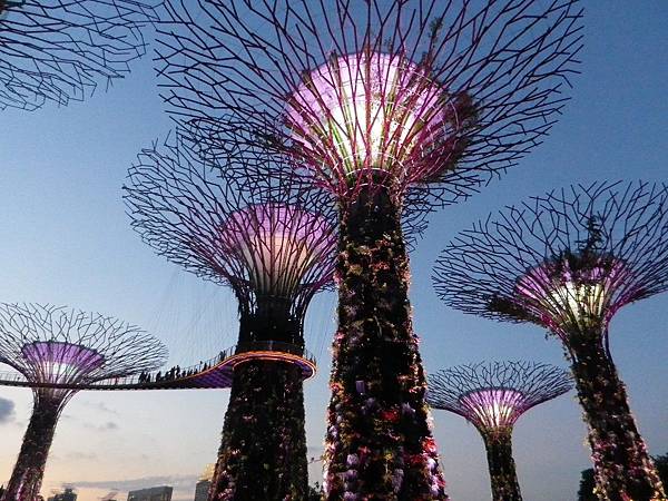 【遊】新加坡★濱海灣Marina Bay。濱海灣花園Gardens by the Bay。擎天大樹Supertree Grove★搭地鐵旅行。自助行程。自由行