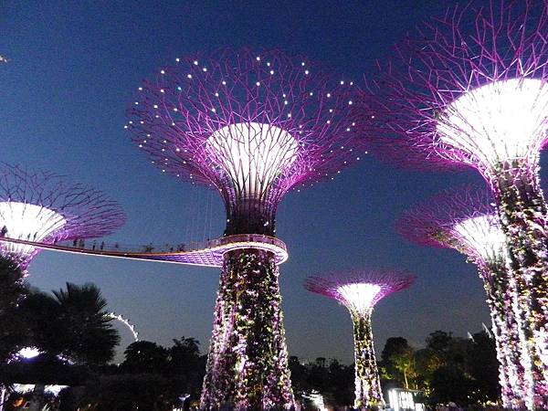 【遊】新加坡★濱海灣Marina Bay。濱海灣花園Gardens by the Bay。擎天大樹Supertree Grove★搭地鐵旅行。自助行程。自由行