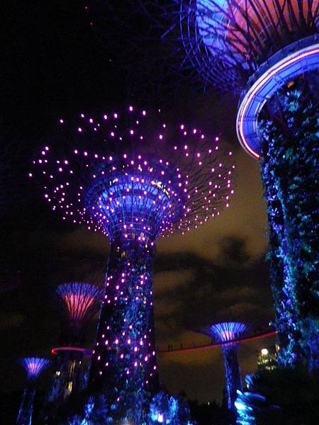 【遊】新加坡★濱海灣Marina Bay。濱海灣花園Gardens by the Bay。擎天大樹Supertree Grove★搭地鐵旅行。自助行程。自由行