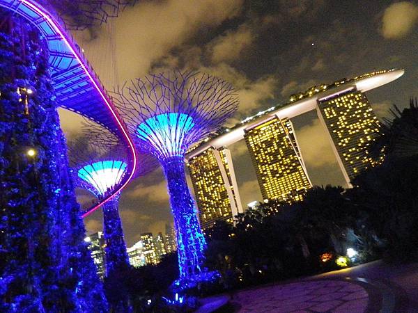 【遊】新加坡★濱海灣Marina Bay。濱海灣花園Gardens by the Bay。擎天大樹Supertree Grove★搭地鐵旅行。自助行程。自由行