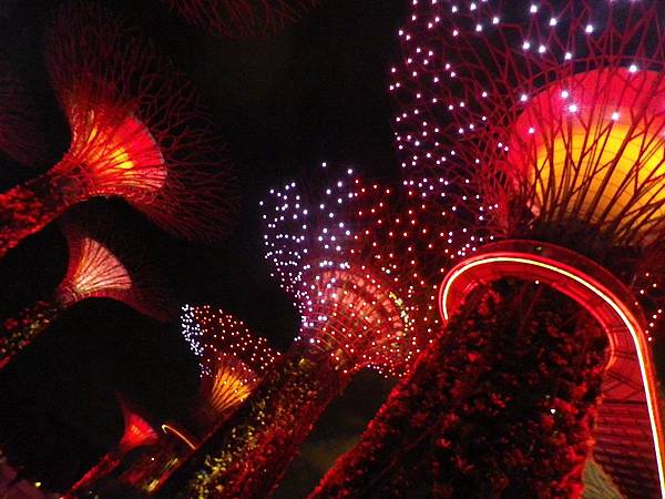 【遊】新加坡★濱海灣Marina Bay。濱海灣花園Gardens by the Bay。擎天大樹Supertree Grove★搭地鐵旅行。自助行程。自由行