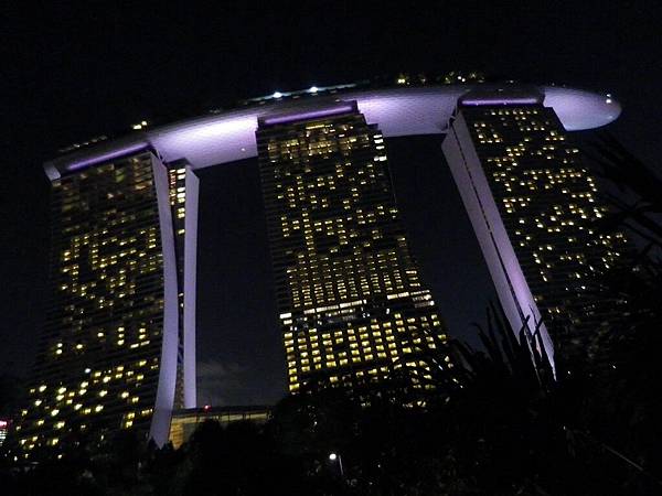 【遊】新加坡★濱海灣Marina Bay。濱海灣花園Gardens by the Bay。擎天大樹Supertree Grove★搭地鐵旅行。自助行程。自由行