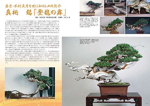 現代盆栽技術の神髄「木村正彦の世界」・現代盆栽技術の神髄