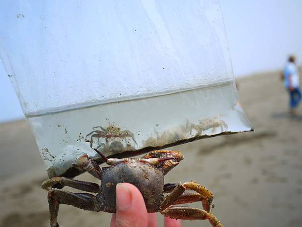 大小螃蟹一起合照