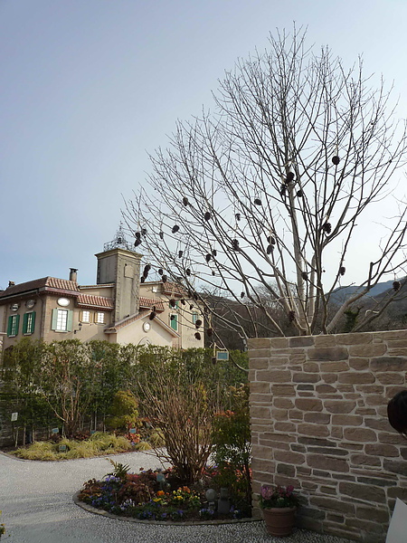 2nd Day箱根-箱根小王子博物館