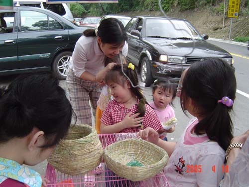 妹妹怕死了...松鼠baby在身上爬