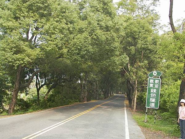 Green Tunnel, Ji-ji (集集綠色隧道)