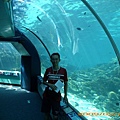 Townsville ReefHQ - me