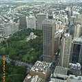 Sydney - View from the Tower