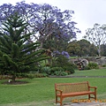 Botanic Gardens 及週邊