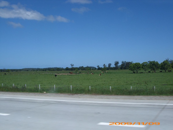 NSW公路景觀