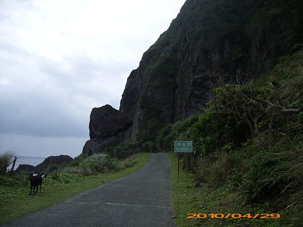 蘭嶼環島公路22-鋼盔岩&路邊山羊.jpg