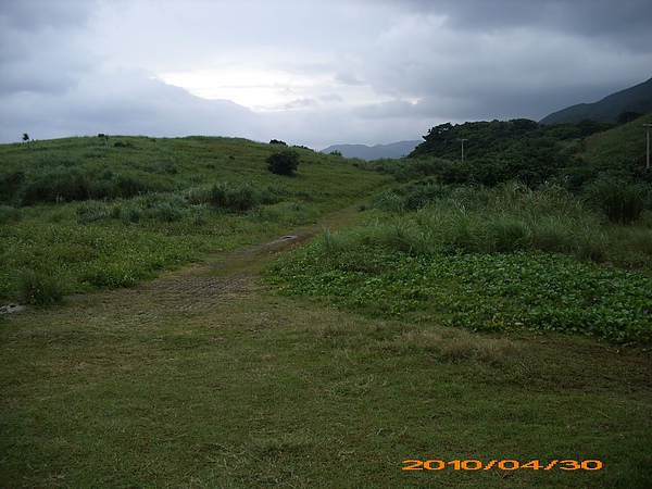 青青草原.jpg