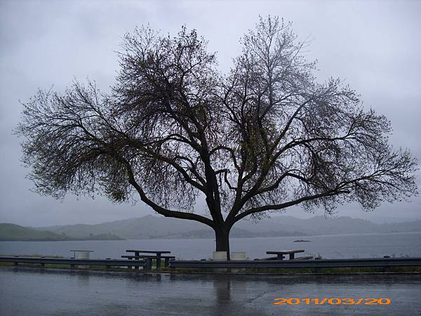 Millerton Lake 15.jpg