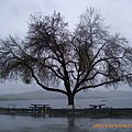 Millerton Lake 15.jpg