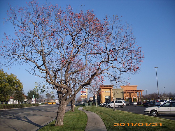 Fresno - SierraVista Mall in Clovis 06.JPG