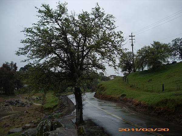 Millerton Lake 03.jpg