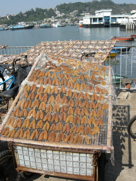 烏魚子太陽浴