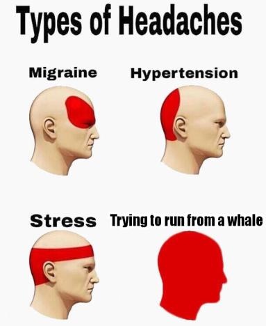 Types_of_Headaches_09052019212003.jpg