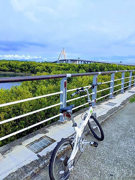 自行車道望向跨海大橋3
