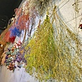 IMG_5424.JPG