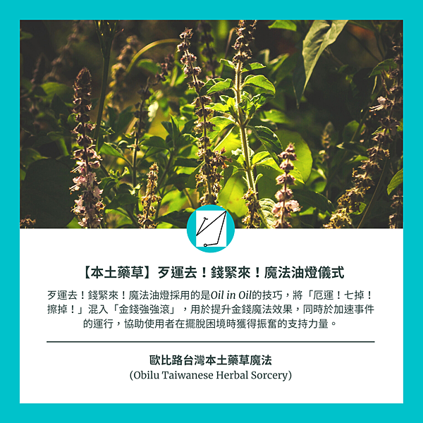 歐比路台灣本土藥草魔法 (Obilu Taiwanese Herbal Sorcery).png 歐比路台灣本土藥草魔法 (Obilu Taiwanese Herbal Sorcery).png