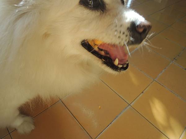 DSCN9604 DSCN9604