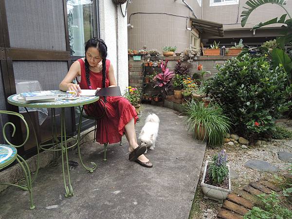 DSCN9882 DSCN9882