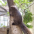 DSCN9747 DSCN9747