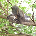 DSCN9731 DSCN9731