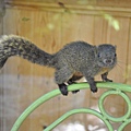 _DSC0004 _DSC0004