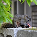_DSC0013 _DSC0013